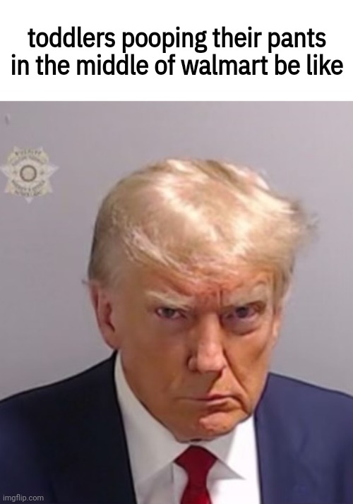 Donald Trump Mugshot | toddlers pooping their pants in the middle of walmart be like | image tagged in donald trump mugshot | made w/ Imgflip meme maker