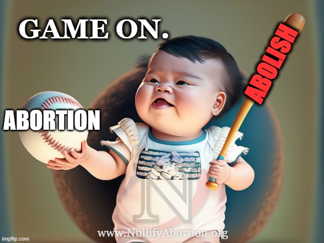 Game on. Hitting abortion out of the park. | GAME ON. ABOLISH; ABORTION; www.NullifyAbortion.org | image tagged in pro-life baby playing baseball,pro-life,prolife,abolition,abolish abortion | made w/ Imgflip meme maker