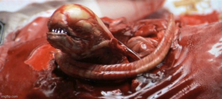 alien chestburster | image tagged in alien chestburster | made w/ Imgflip meme maker