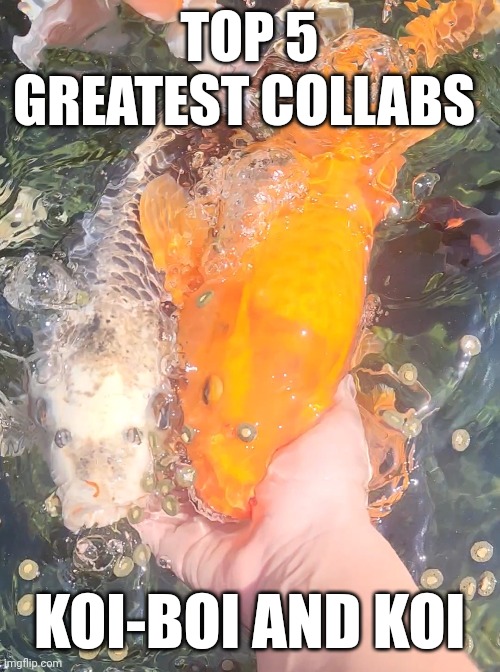 It's been a while | TOP 5 GREATEST COLLABS; KOI-BOI AND KOI | made w/ Imgflip meme maker
