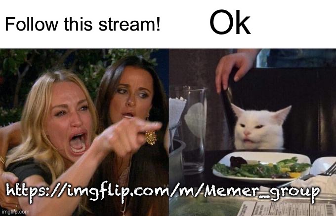 Trying to receive the stream!! Please help! | Ok; Follow this stream! https://imgflip.com/m/Memer_group | image tagged in memes,woman yelling at cat | made w/ Imgflip meme maker