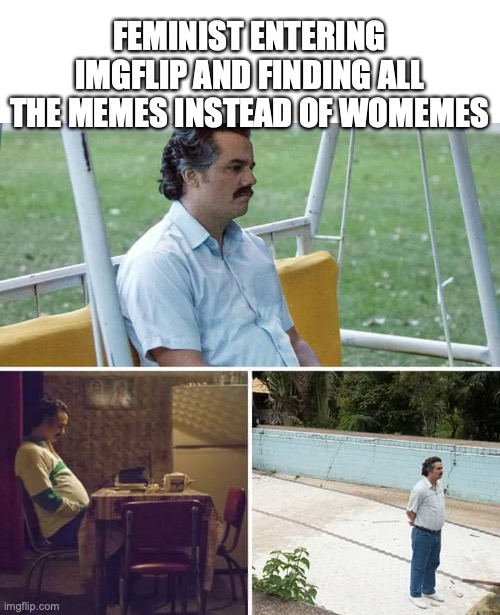 idk | FEMINIST ENTERING IMGFLIP AND FINDING ALL THE MEMES INSTEAD OF WOMEMES | image tagged in memes,sad pablo escobar,feminist | made w/ Imgflip meme maker