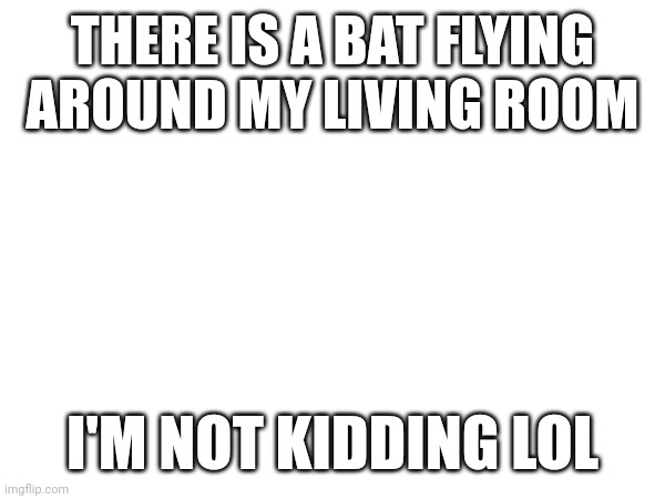 Bats | THERE IS A BAT FLYING AROUND MY LIVING ROOM; I'M NOT KIDDING LOL | made w/ Imgflip meme maker