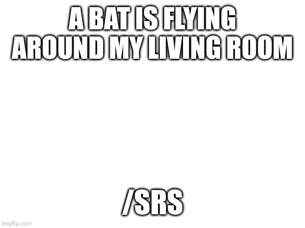 BATS (mod note: oh no) | A BAT IS FLYING AROUND MY LIVING ROOM; /SRS | made w/ Imgflip meme maker