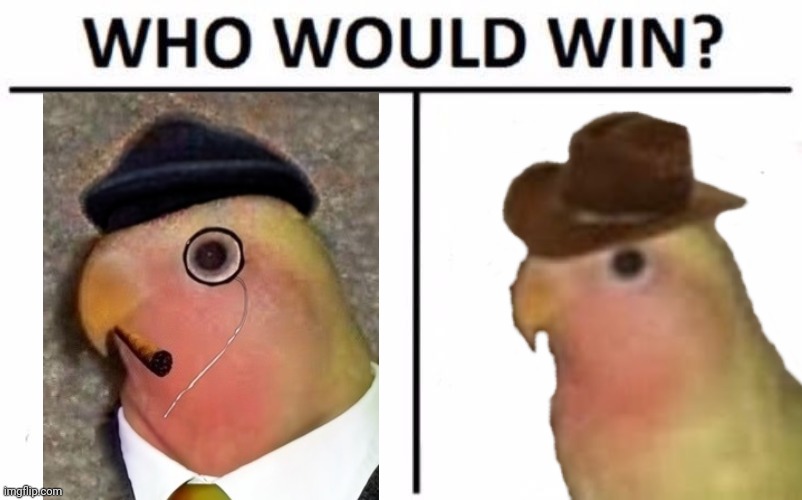 ndoϱ     dnoວ | image tagged in memes,who would win,gobn,gonb | made w/ Imgflip meme maker