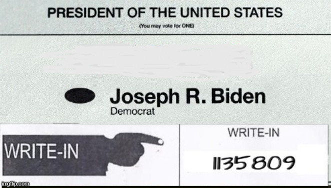 2024 US Election ballot | image tagged in joe biden,1135809,democrat,criminal,maga,loser | made w/ Imgflip meme maker
