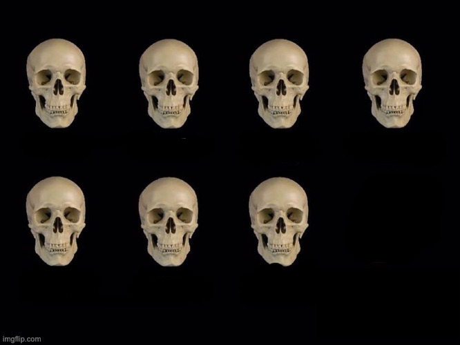 empty skulls of truth | image tagged in empty skulls of truth | made w/ Imgflip meme maker