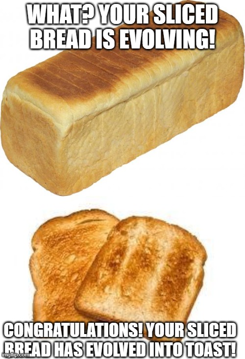 WHAT? YOUR SLICED BREAD IS EVOLVING! CONGRATULATIONS! YOUR SLICED BREAD HAS EVOLVED INTO TOAST! | image tagged in breadddd,toast | made w/ Imgflip meme maker