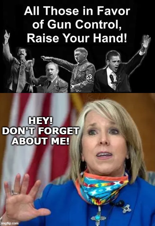 HEY!
DON'T FORGET ABOUT ME! | image tagged in gun control,2a,nm,democrats | made w/ Imgflip meme maker