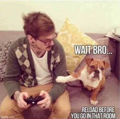 looking out for ya, bro | image tagged in funny,meme,video game,bulldog | made w/ Imgflip meme maker