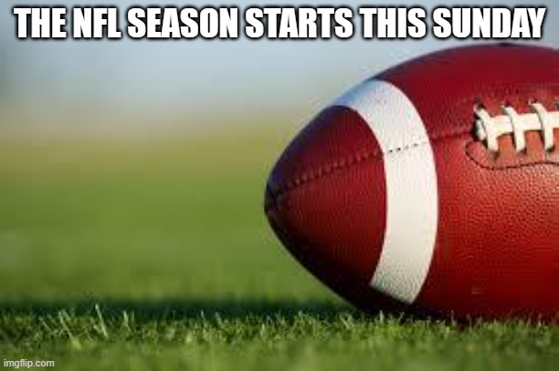 football field | THE NFL SEASON STARTS THIS SUNDAY | image tagged in football field | made w/ Imgflip meme maker