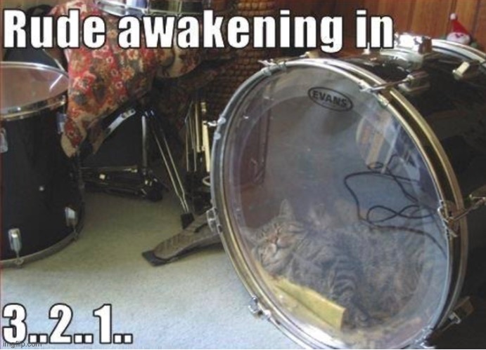 drumroll, please | image tagged in funny,cat,drum set,sleeping | made w/ Imgflip meme maker