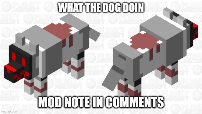 Credids (looks like Pixelart so Justin case) in the comments | WHAT THE DOG DOIN; MOD NOTE IN COMMENTS | image tagged in cursed | made w/ Imgflip meme maker