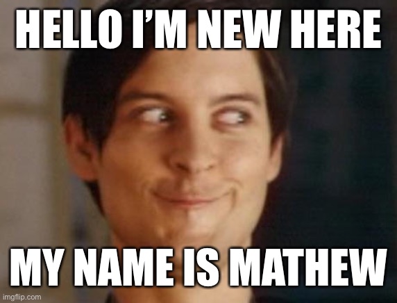Spiderman Peter Parker Meme | HELLO I’M NEW HERE; MY NAME IS MATHEW | image tagged in memes,spiderman peter parker | made w/ Imgflip meme maker