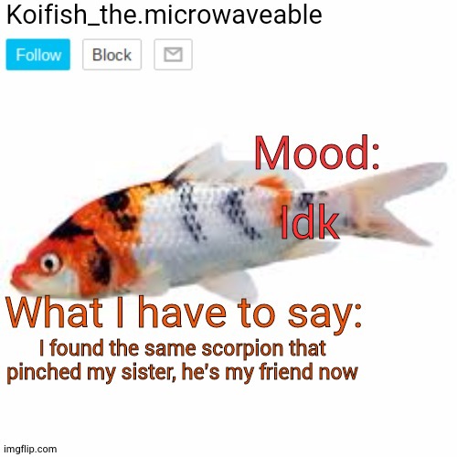 Only in Texas fr | Idk; I found the same scorpion that pinched my sister, he's my friend now | image tagged in koifish_the microwaveable announcement | made w/ Imgflip meme maker