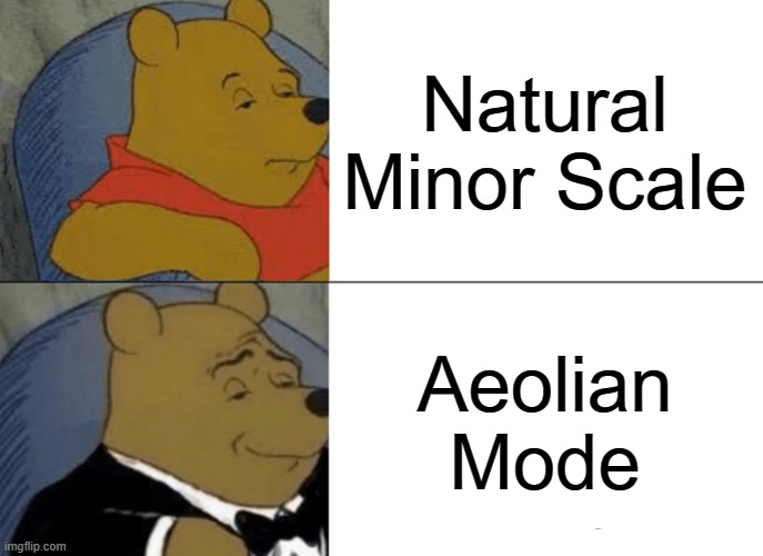 Tuxedo Winnie The Pooh | Natural Minor Scale; Aeolian Mode | image tagged in memes,tuxedo winnie the pooh | made w/ Imgflip meme maker
