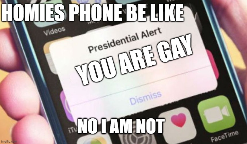 Presidential Alert | HOMIES PHONE BE LIKE; YOU ARE GAY; NO I AM NOT | image tagged in memes,presidential alert | made w/ Imgflip meme maker