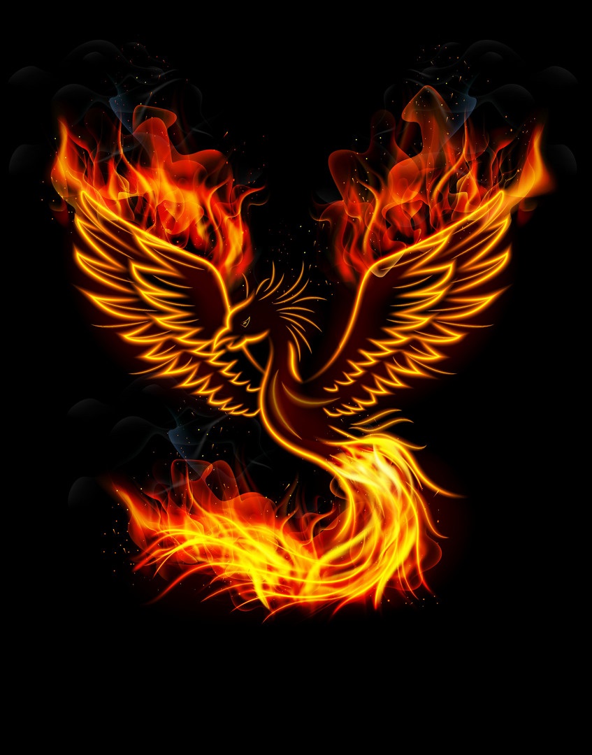 Phoenix Blank Meme Template