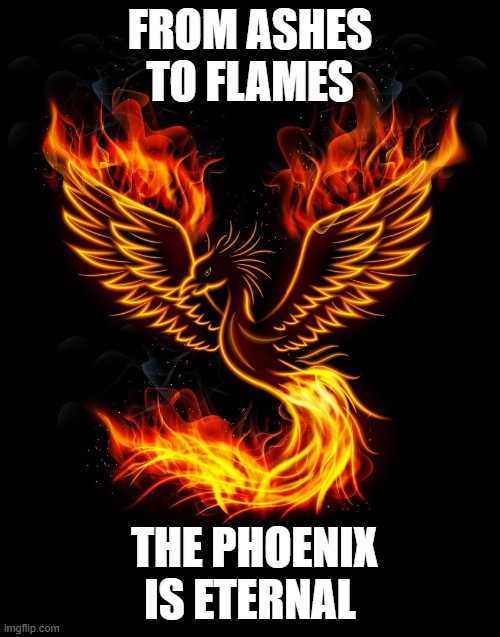 Phoenix | FROM ASHES TO FLAMES; THE PHOENIX IS ETERNAL | image tagged in phoenix | made w/ Imgflip meme maker