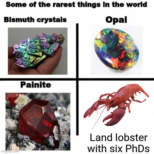 Lobster with six PhDs | Land lobster with six PhDs | image tagged in some of the rarest things in the world | made w/ Imgflip meme maker