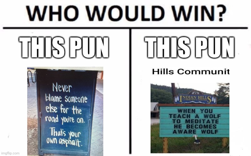 Pun wars 2 | THIS PUN; THIS PUN | image tagged in memes,who would win | made w/ Imgflip meme maker