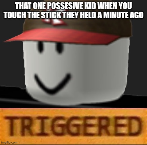 :D loll the kid be like | THAT ONE POSSESIVE KID WHEN YOU TOUCH THE STICK THEY HELD A MINUTE AGO | image tagged in roblox triggered | made w/ Imgflip meme maker