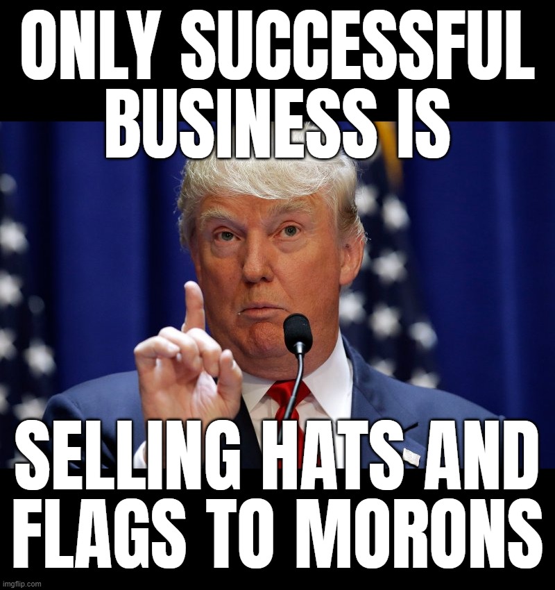 suckers... | ONLY SUCCESSFUL
BUSINESS IS; SELLING HATS AND
FLAGS TO MORONS | image tagged in donald trump | made w/ Imgflip meme maker
