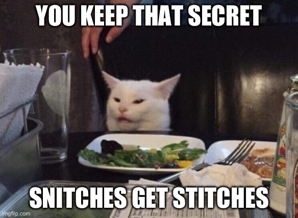 Salad cat | YOU KEEP THAT SECRET SNITCHES GET STITCHES | image tagged in salad cat | made w/ Imgflip meme maker