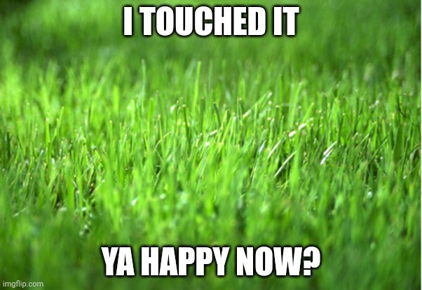 grass is greener | I TOUCHED IT YA HAPPY NOW? | image tagged in grass is greener | made w/ Imgflip meme maker