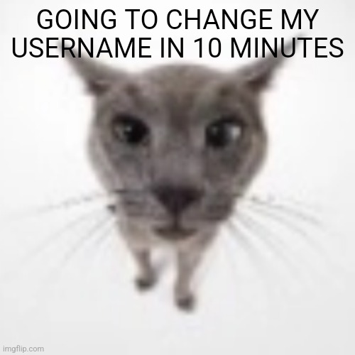 Goofy ahh Cat | GOING TO CHANGE MY USERNAME IN 10 MINUTES | made w/ Imgflip meme maker