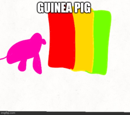 Guinea pig | GUINEA PIG | image tagged in guinea pig | made w/ Imgflip meme maker