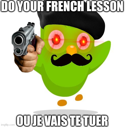 Meme #3,556 | DO YOUR FRENCH LESSON; OU JE VAIS TE TUER | image tagged in things duolingo teaches you,french,france,duolingo | made w/ Imgflip meme maker
