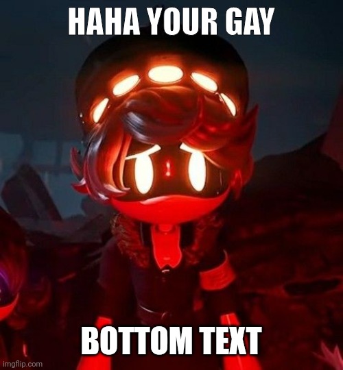 HAHA YOU GAY. BOTTOM TEXT | HAHA YOUR GAY; BOTTOM TEXT | image tagged in haha your gay | made w/ Imgflip meme maker