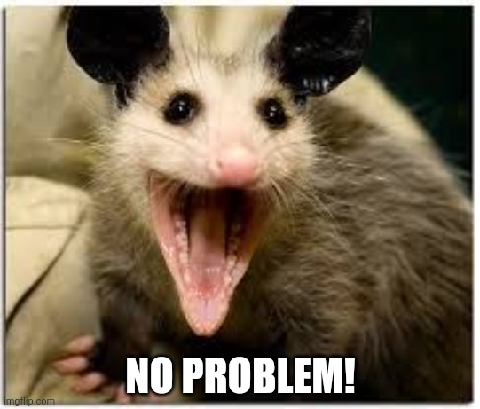 opossum | NO PROBLEM! | image tagged in opossum | made w/ Imgflip meme maker