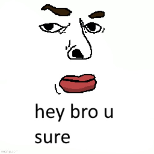 Hey bro u sure? | image tagged in funny,not sure if,are you sure | made w/ Imgflip meme maker