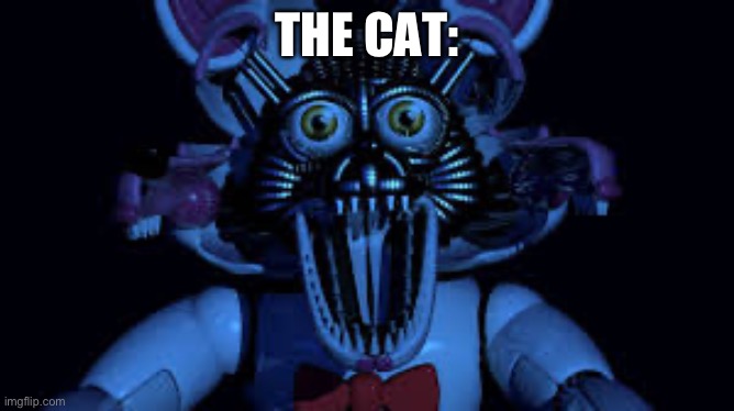 Funtime foxy jumpscare fnaf sister location | THE CAT: | image tagged in funtime foxy jumpscare fnaf sister location | made w/ Imgflip meme maker