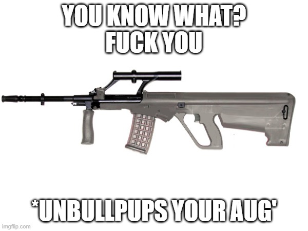 if you pay very close attention, you can see i have not spent a lot of time unbullpuping the aug | YOU KNOW WHAT?
FUCK YOU; *UNBULLPUPS YOUR AUG' | image tagged in guns | made w/ Imgflip meme maker