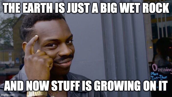 YES | THE EARTH IS JUST A BIG WET ROCK; AND NOW STUFF IS GROWING ON IT | image tagged in memes,roll safe think about it,yes,think | made w/ Imgflip meme maker