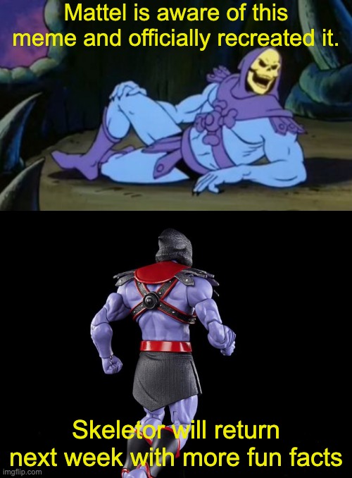 Finally, a company that knows how to understand its fans. | Mattel is aware of this meme and officially recreated it. Skeletor will return next week with more fun facts | image tagged in disturbing facts skeletor,fun | made w/ Imgflip meme maker