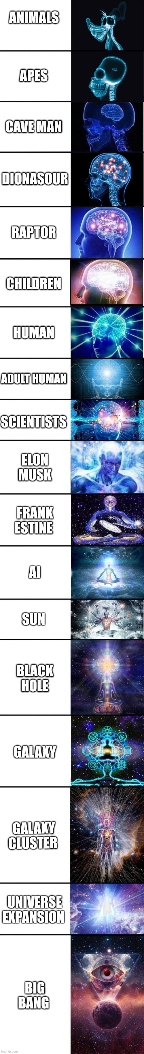 expanding brain: 9001 | ANIMALS; APES; CAVE MAN; DIONASOUR; RAPTOR; CHILDREN; HUMAN; ADULT HUMAN; SCIENTISTS; ELON MUSK; FRANK ESTINE; AI; SUN; BLACK HOLE; GALAXY; GALAXY CLUSTER; UNIVERSE EXPANSION; BIG BANG | image tagged in expanding brain 9001 | made w/ Imgflip meme maker