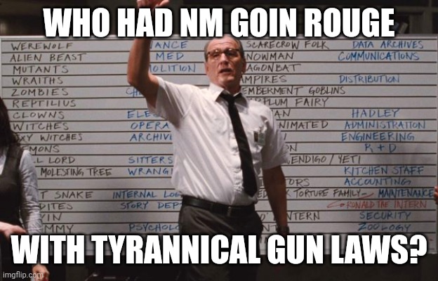 Cabin the the woods | WHO HAD NM GOIN ROUGE; WITH TYRANNICAL GUN LAWS? | image tagged in cabin the the woods | made w/ Imgflip meme maker