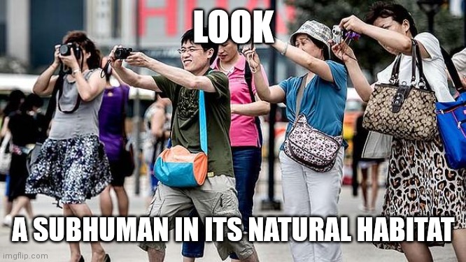 Asian Tourist | LOOK; A SUBHUMAN IN ITS NATURAL HABITAT | image tagged in asian tourist | made w/ Imgflip meme maker