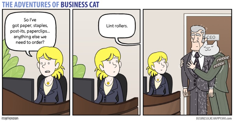 The Adventures of Business Cat #96 - Order | made w/ Imgflip meme maker