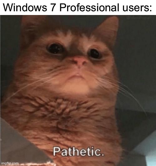 Pathetic Cat | Windows 7 Professional users: | image tagged in pathetic cat | made w/ Imgflip meme maker