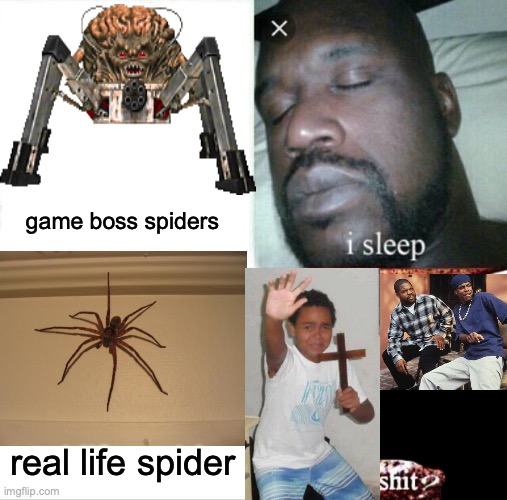 Guys, this is far too relatable to even be on this stream/ | game boss spiders; real life spider | image tagged in memes,sleeping shaq,spiders,relatable | made w/ Imgflip meme maker