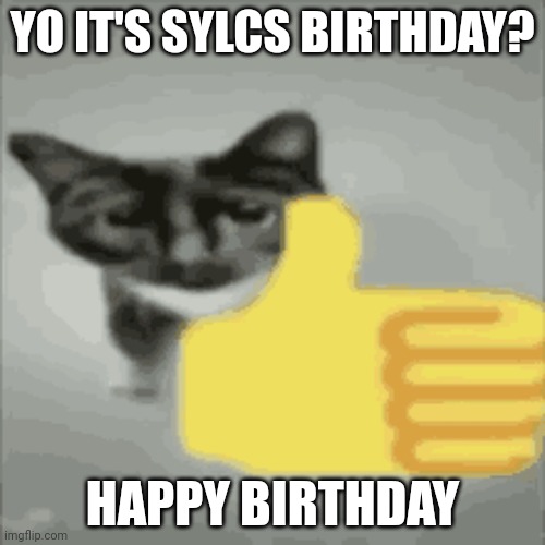 Yuh uh | YO IT'S SYLCS BIRTHDAY? HAPPY BIRTHDAY | image tagged in cat thumbs up | made w/ Imgflip meme maker