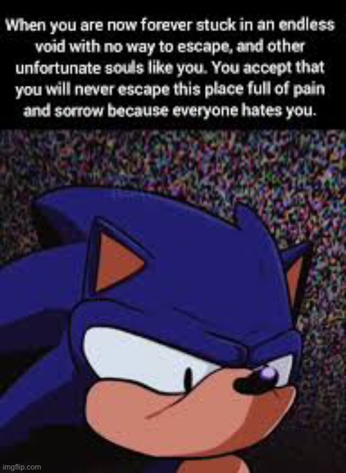 image tagged in sonic exe | made w/ Imgflip meme maker