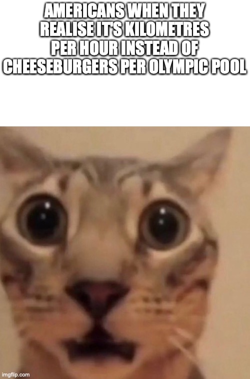 Flabbergasted cat | AMERICANS WHEN THEY REALISE IT'S KILOMETRES PER HOUR INSTEAD OF CHEESEBURGERS PER OLYMPIC POOL | image tagged in flabbergasted cat | made w/ Imgflip meme maker