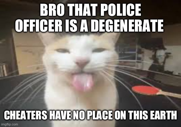 Cat | BRO THAT POLICE OFFICER IS A DEGENERATE; CHEATERS HAVE NO PLACE ON THIS EARTH | image tagged in cat | made w/ Imgflip meme maker