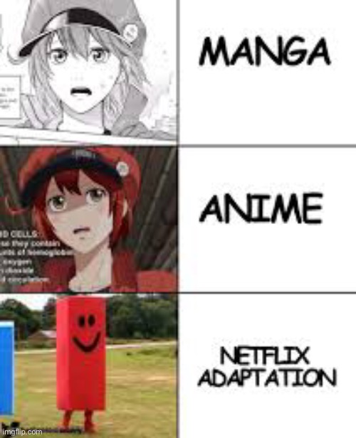 image tagged in manga anime netflix adaption | made w/ Imgflip meme maker
